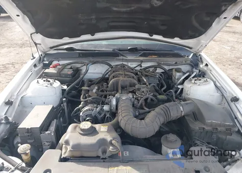 2009 Ford Mustang V6/V6 Premium z USA, uszkodzony, nr VIN 1ZVHT80N795127085